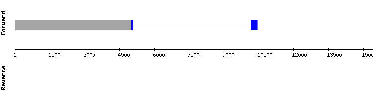 gene structure