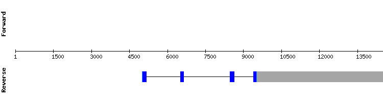 gene structure