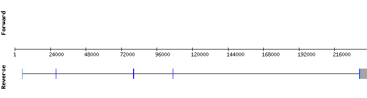 gene structure