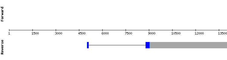 gene structure