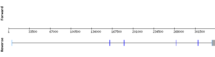 gene structure
