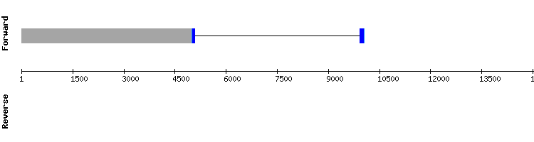 gene structure
