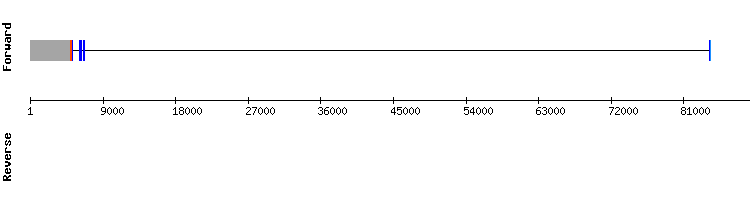gene structure