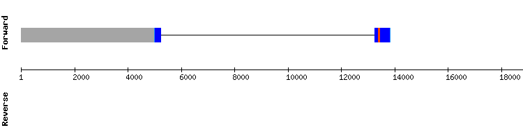 gene structure