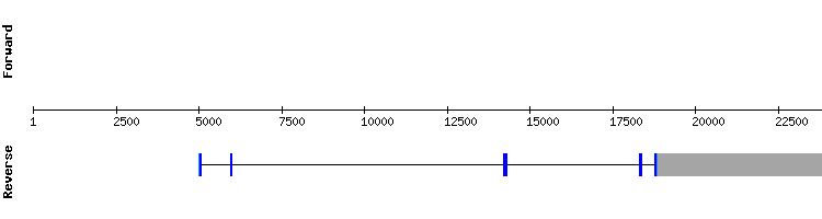 gene structure