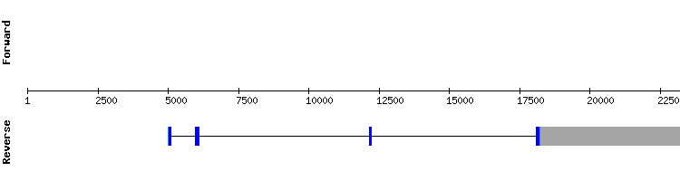 gene structure