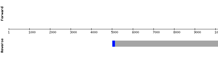 gene structure