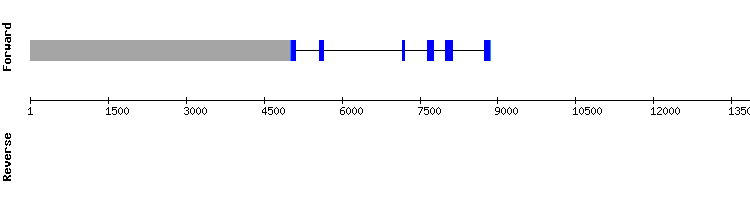 gene structure