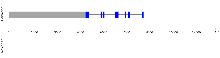 gene structure