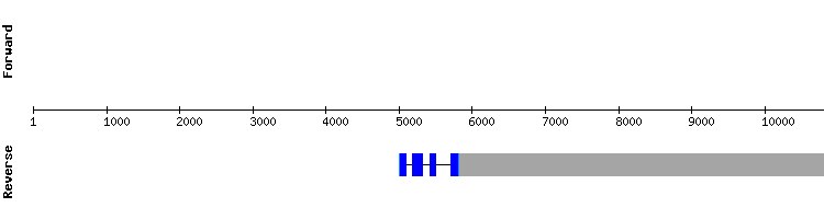 gene structure