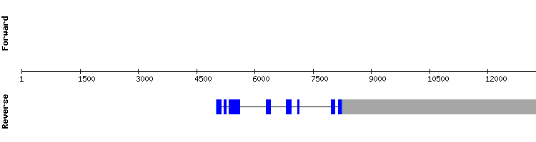gene structure