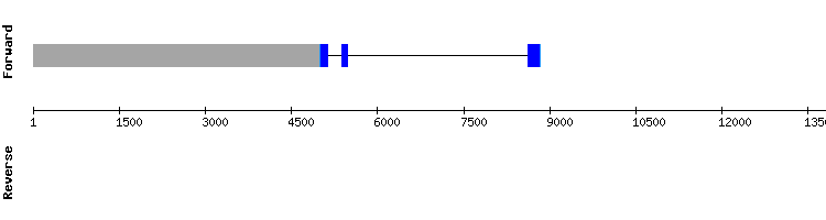 gene structure