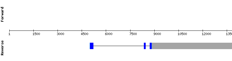 gene structure