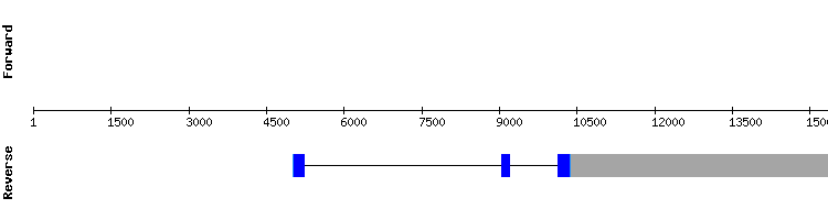 gene structure
