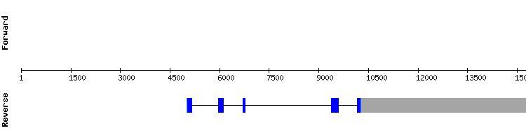 gene structure