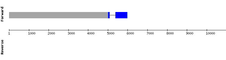 gene structure