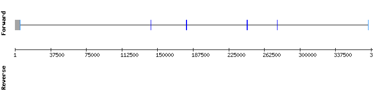 gene structure