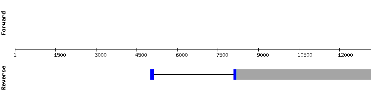 gene structure