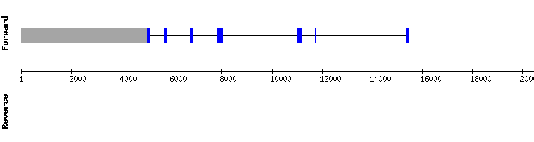 gene structure