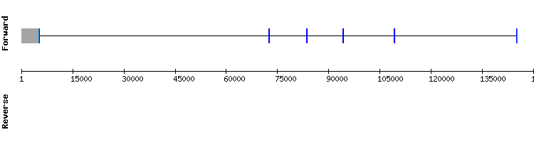 gene structure