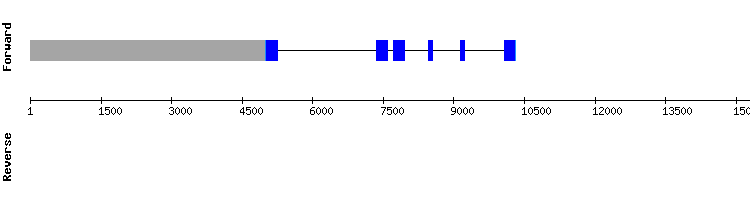 gene structure