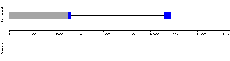 gene structure