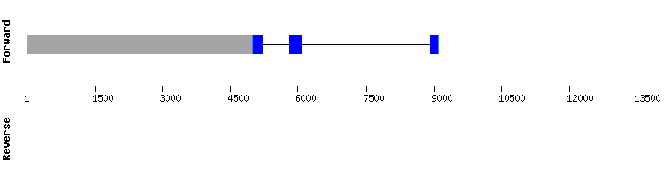 gene structure