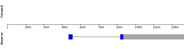 gene structure