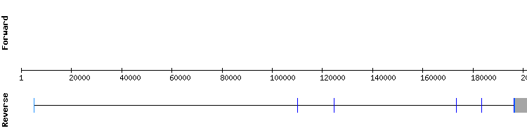 gene structure