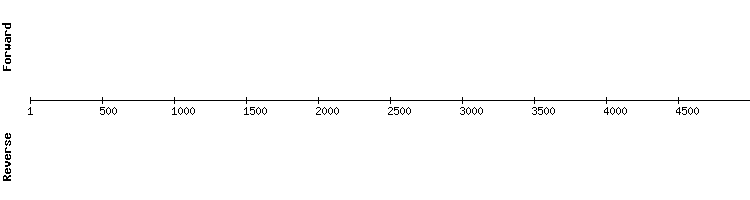 gene structure