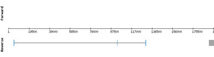 gene structure