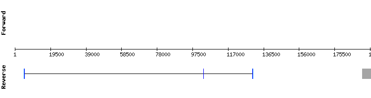 gene structure