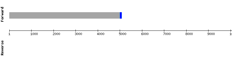 gene structure