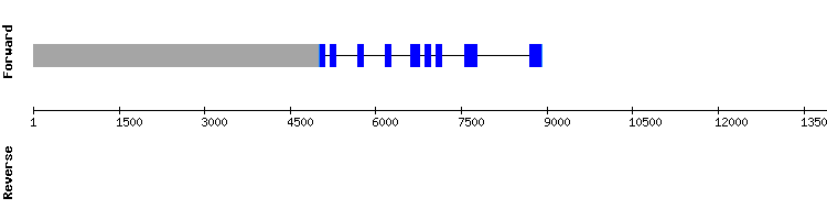 gene structure