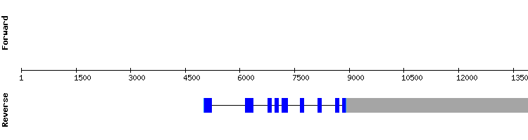 gene structure