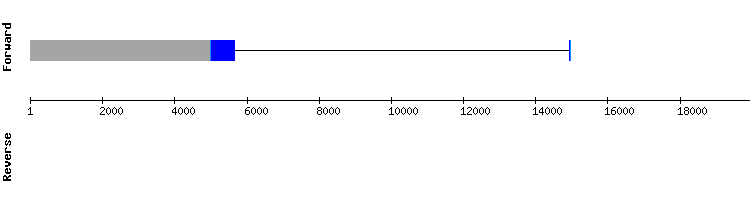 gene structure