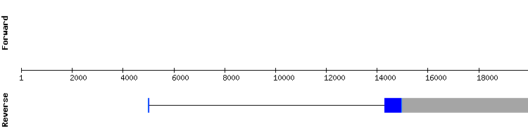 gene structure
