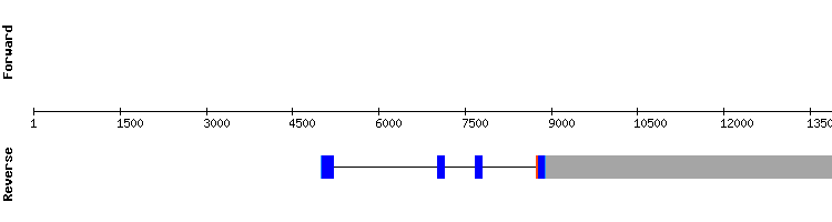 gene structure
