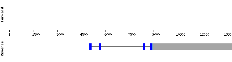 gene structure