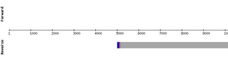 gene structure