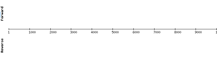 gene structure