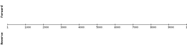 gene structure