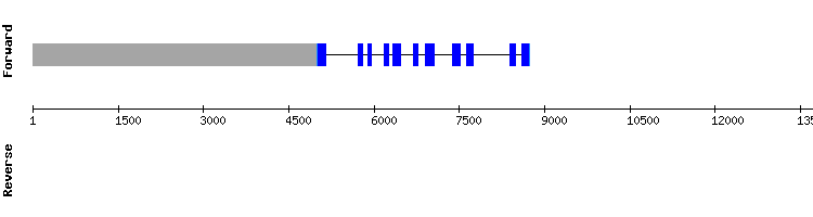 gene structure