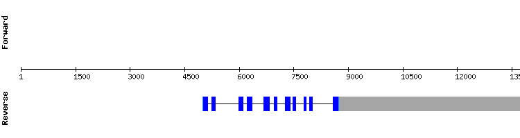 gene structure