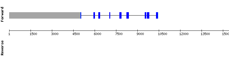 gene structure