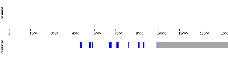 gene structure