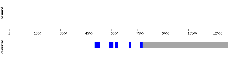 gene structure