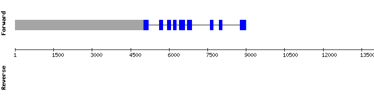 gene structure