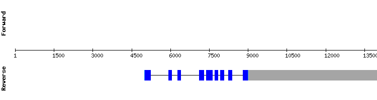gene structure