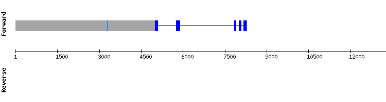 gene structure